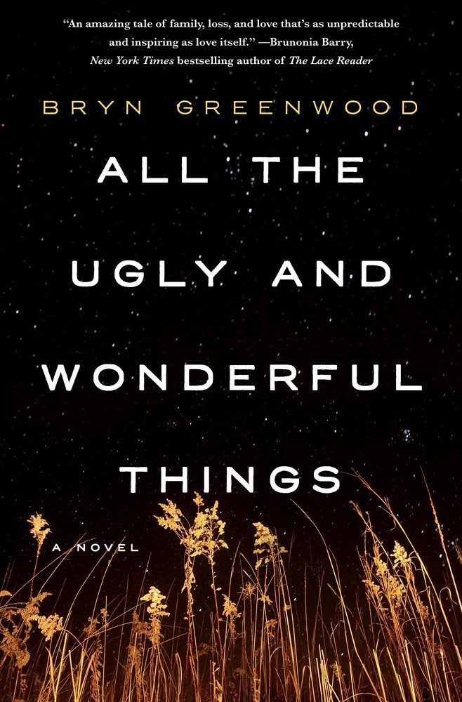 All the Ugly and Wonderful Things A Novel