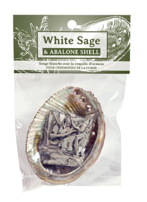White Sage and Abalone Shell Set