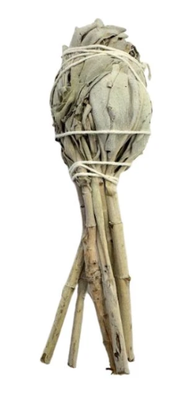 White Sage Stick - Small (3 inch)