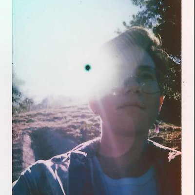 Lee Knox Ostertag