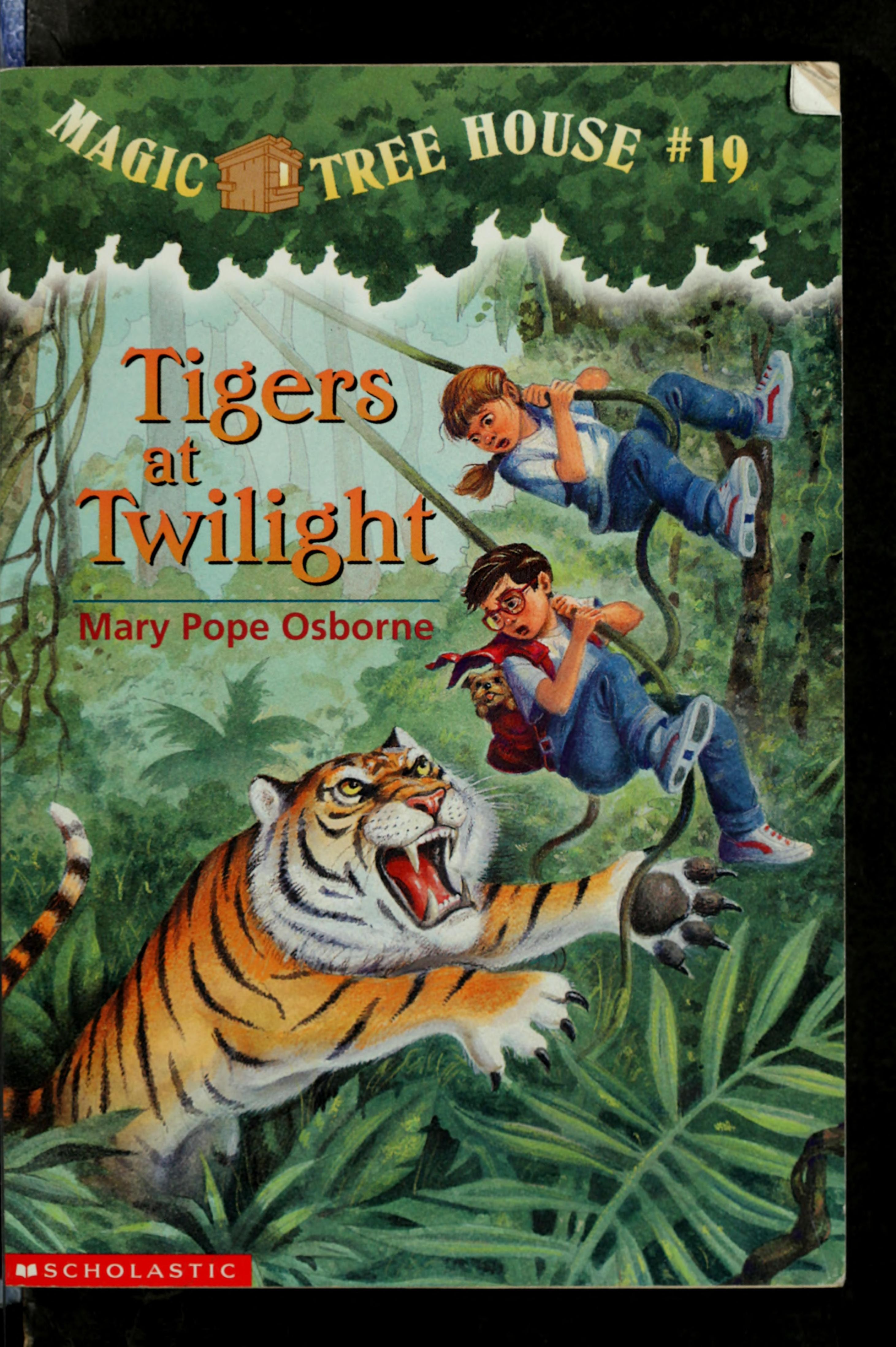 Tigers at Twilight