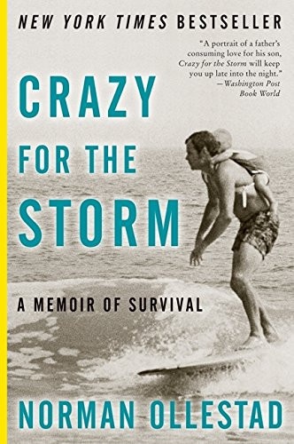Crazy for the Storm