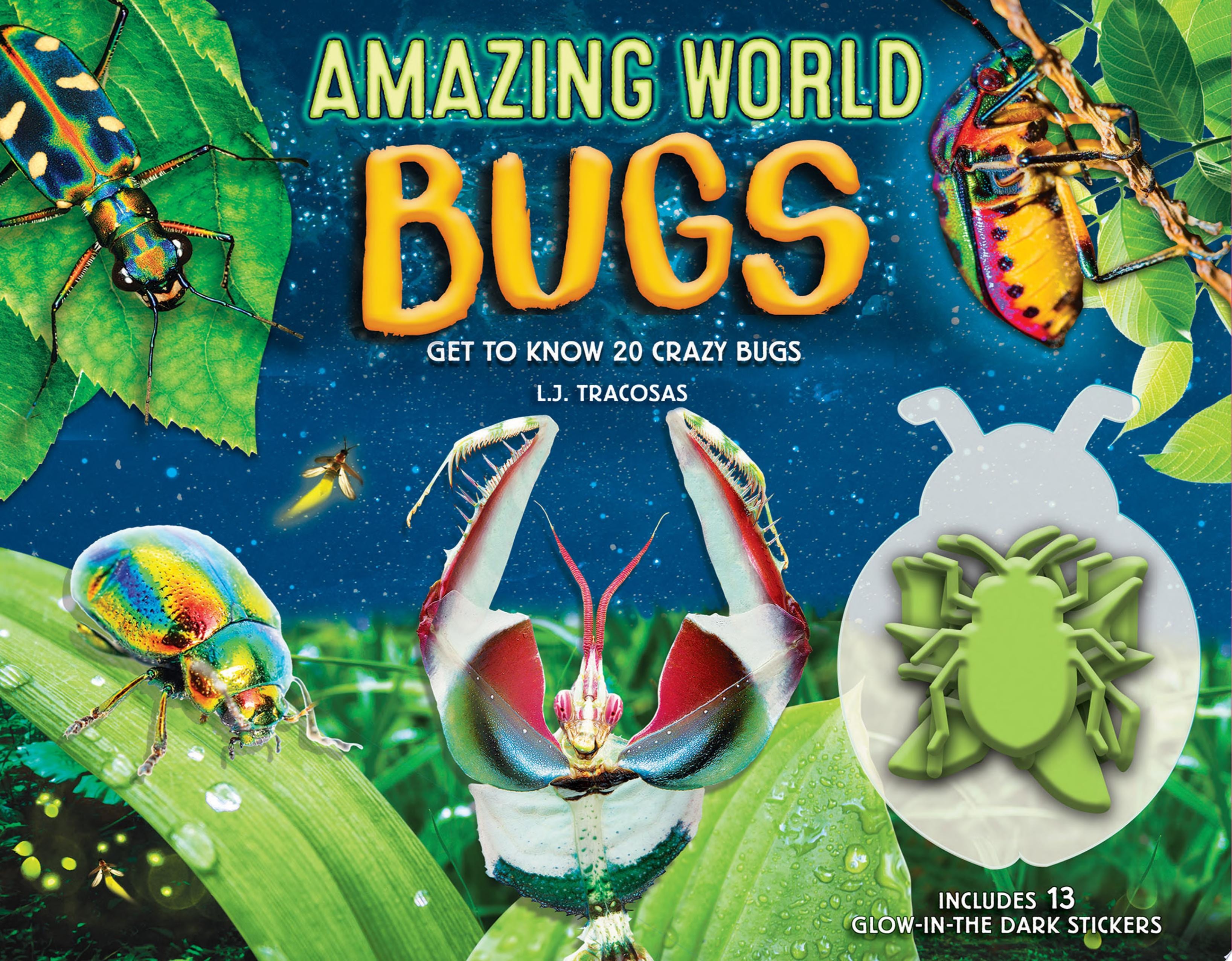 Amazing World: Bugs Get To Know 20 Crazy Bugs