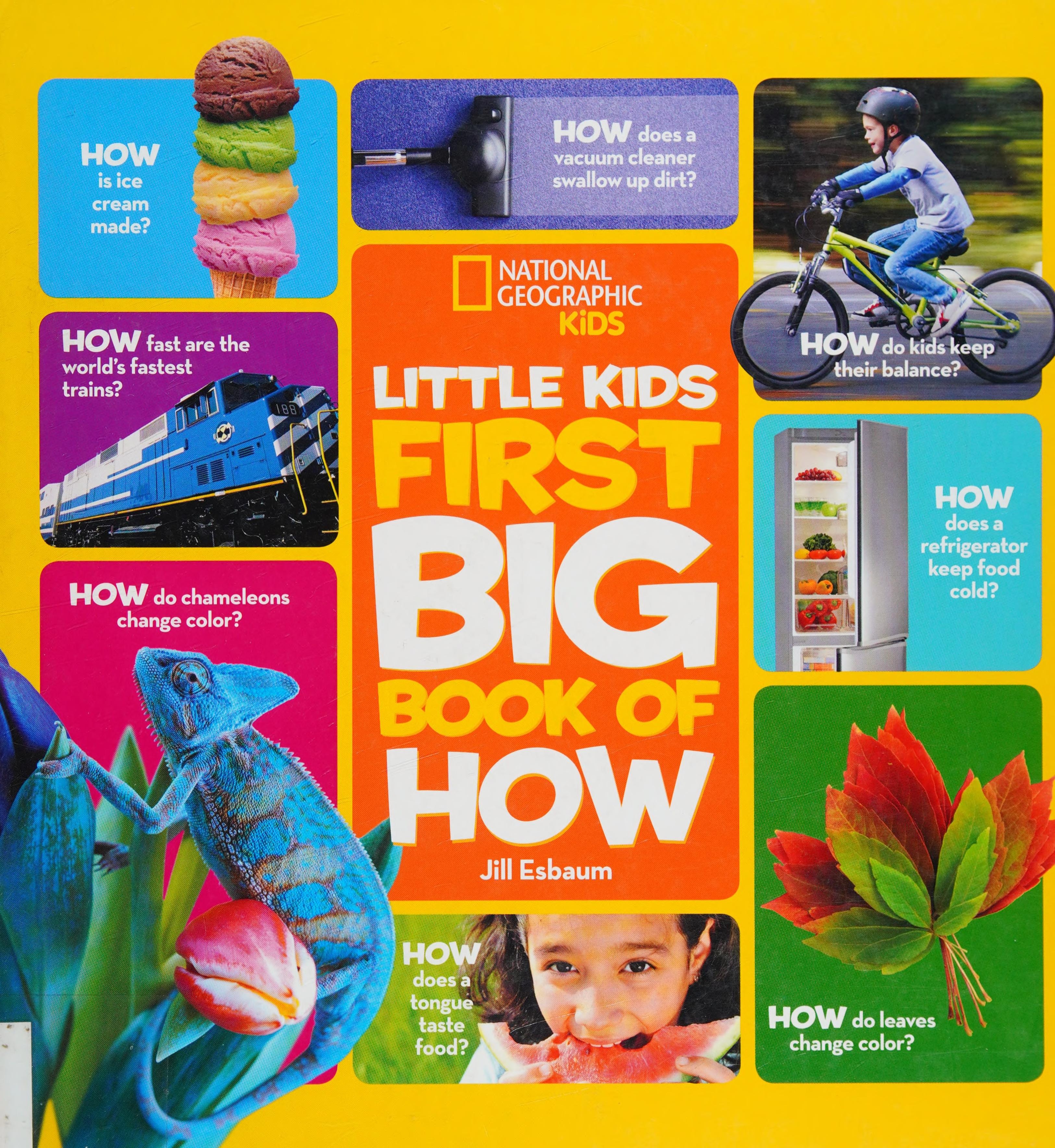 Little Kids First Big Book of How