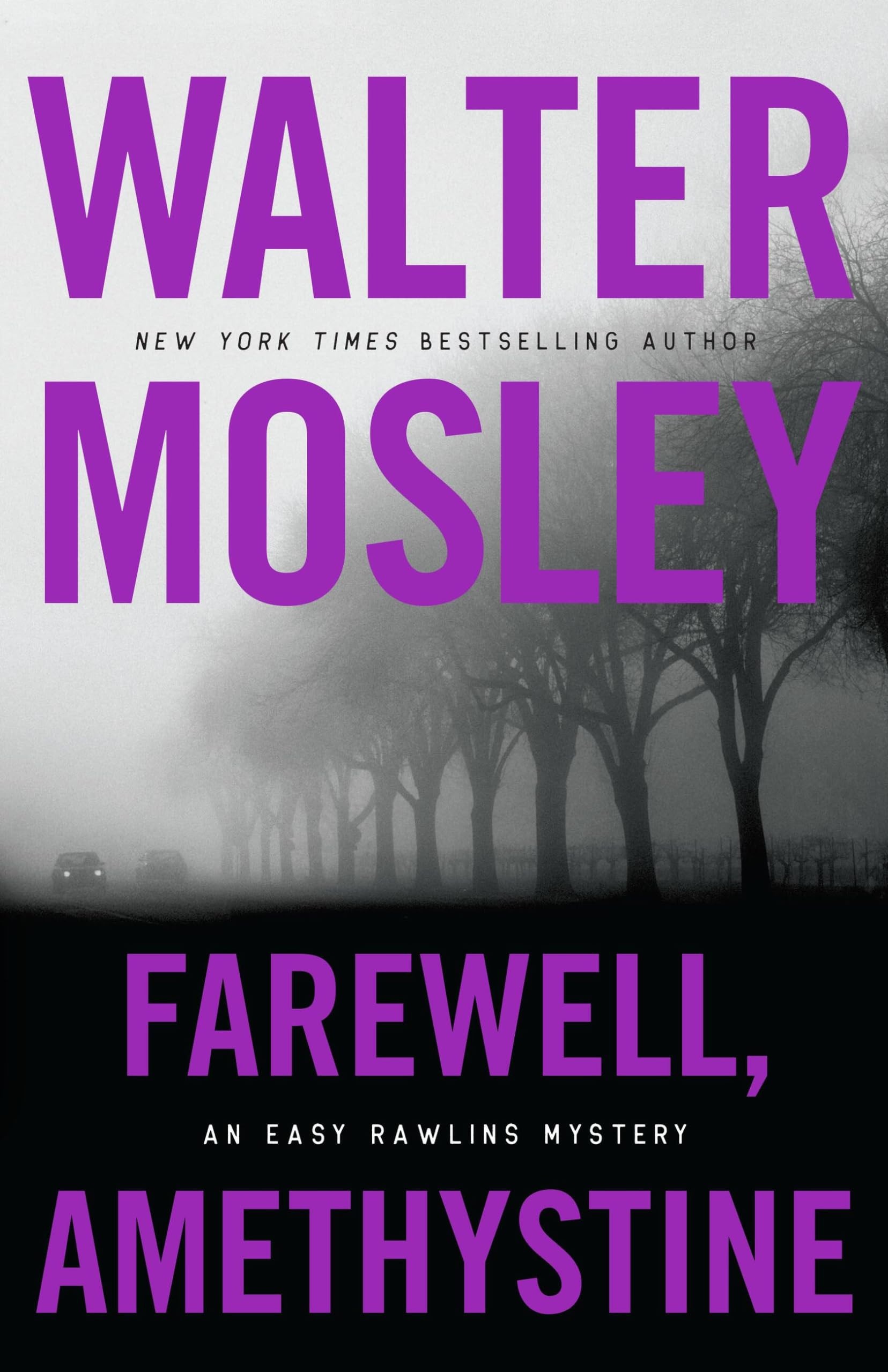 Farewell, amethystine: an Easy Rawlins mystery