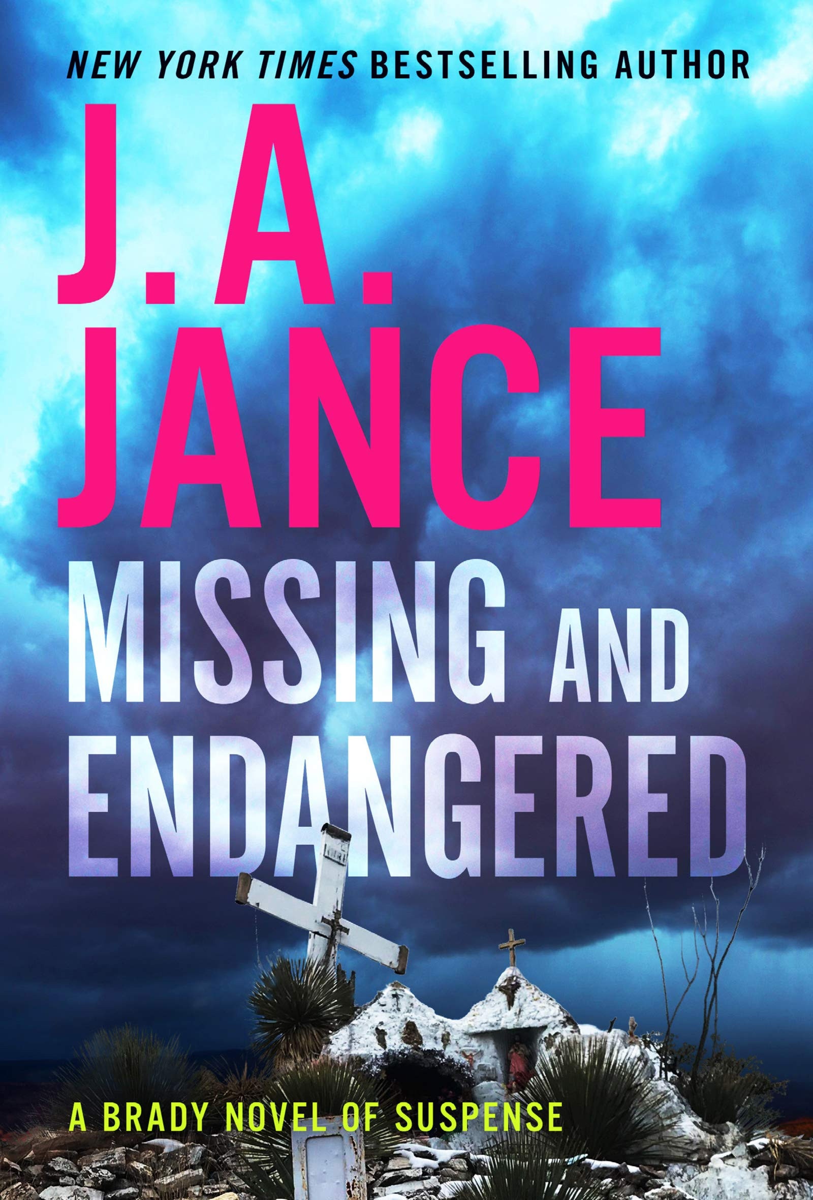 Missing and Endangered A Brady Novel of Suspense