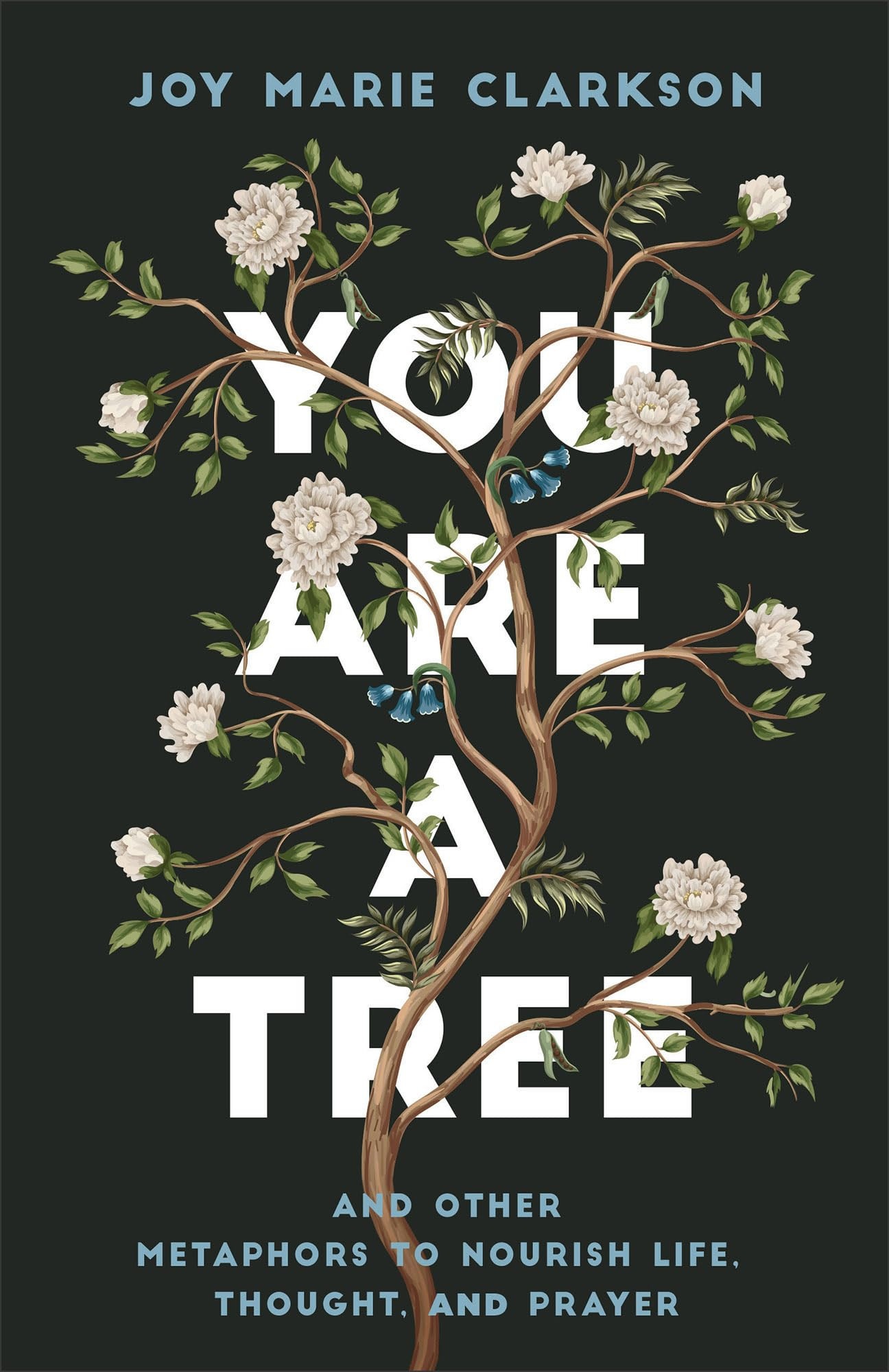 You Are a Tree And Other Metaphors to Nourish Life, Thought, and Prayer